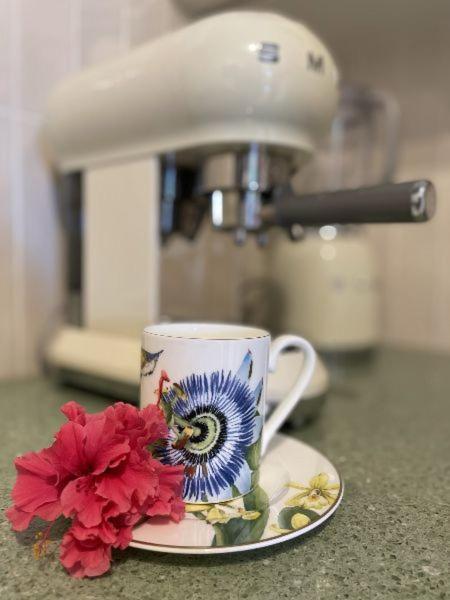 Timeless Cyprus Apartment Paphos Luaran gambar